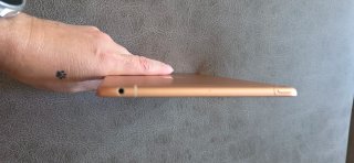 iPad 5ª Gen Wifi + Celular Rosa Oro