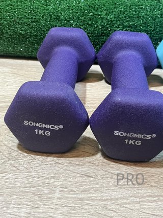 Juego de 4 Mancuernas de 2KG y 1KG SONGMICS