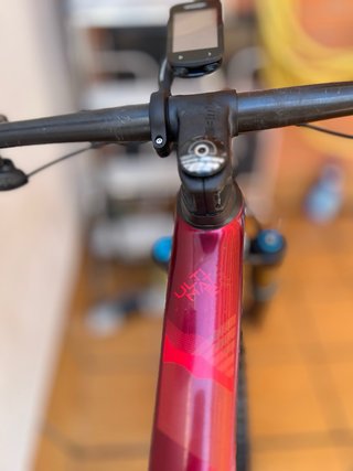 BH Ultimate Evo Carbono 29 (M)