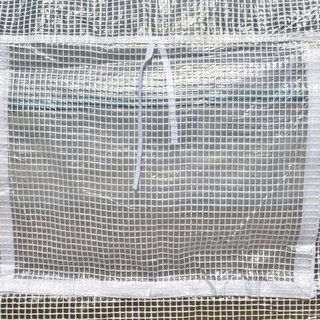 Invernadero de túnel 6X3X2M con 8 ventanas y puerta enrollable, invernadero para huerto con 4 estacas y 4 cuerdas incluidas, en acero y PP, blanco