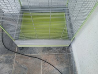Jaula para loro o pájaros