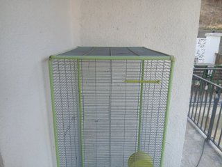 Jaula para loro o pájaros