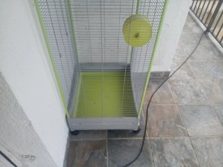 Jaula para loro o pájaros