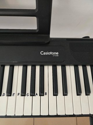 Piano Electrónico Casio Casiotone