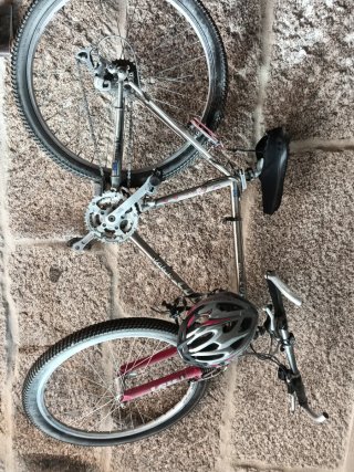 2 Bicicletas (Hombre y Mujer)