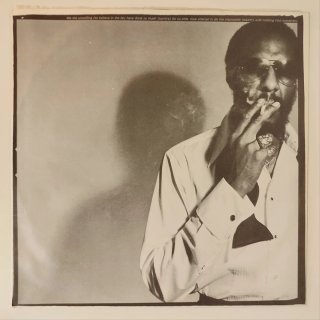 Vinilo Richie Havens - The End of the Beginning