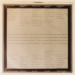 Vinilo Richie Havens - The End of the Beginning