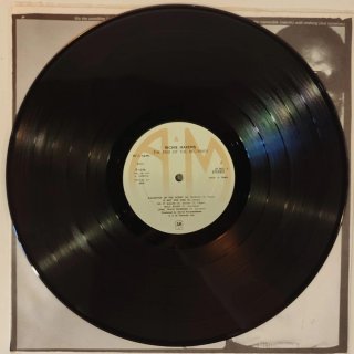 Vinilo Richie Havens - The End of the Beginning