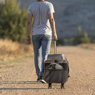 Transportín para Gatos con Ruedas, Transportín para Mascotas Aprobado por Aerolíneas con Mango Telescópico y Correa de Hombro, Transportín para Perros con Ruedas para Mascotas de hasta 22 lbs, con...