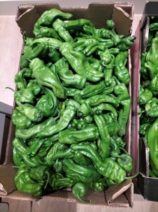 Caja de plástico para frutas