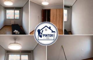 Servicios de Pintura Profesional