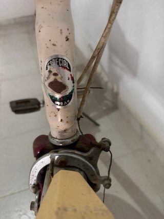 Bicicleta Mobylette GAC