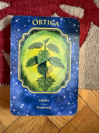 El Ángel de los Sueños: Cartas y Libro