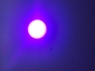 7 Luces LED Decorativas con Mando Nuevas