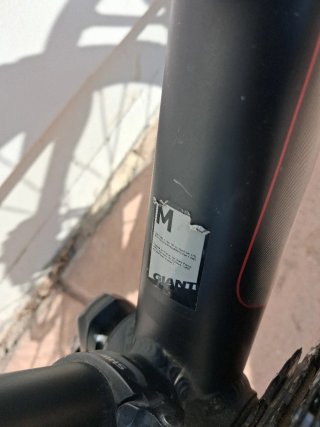 Bicicleta Giant Montaña Negra