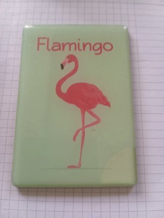 Calamite da frigo assortite
