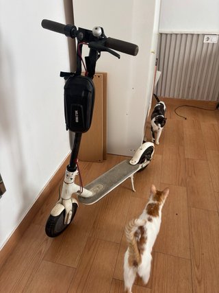 Patinete Eléctrico Blanco