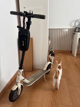 Patinete Eléctrico Blanco