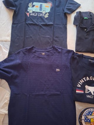 Lote Ropa Chico Hollister y Lee Talla M