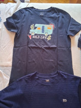 Lote Ropa Chico Hollister y Lee Talla M