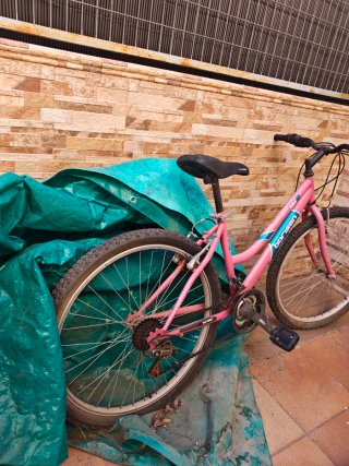 Bicicleta rosa infantil Borisan