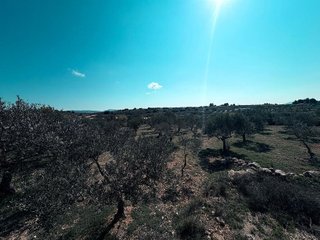 Chalet en venta en Almansa