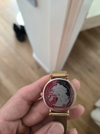 BERING Classic 14134-331