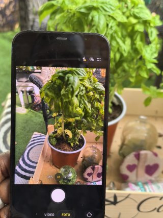 iPhone 12 Pro Max 128GB