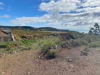 Terreno en venta en Charco del Pino en Granadilla de Abona