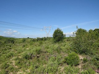 Terreno en venta en Turís