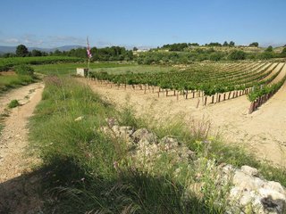 Terreno en venta en Turís