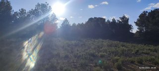 Terreno en venta en Turís
