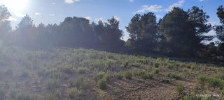 Terreno en venta en Turís