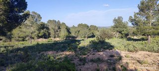 Terreno en venta en Turís