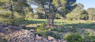 Terreno en venta en Turís