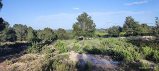 Terreno en venta en Turís