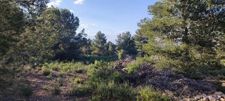 Terreno en venta en Turís