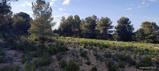 Terreno en venta en Turís