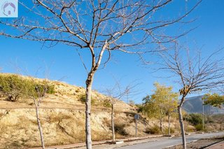Terreno en venta en Alfacar