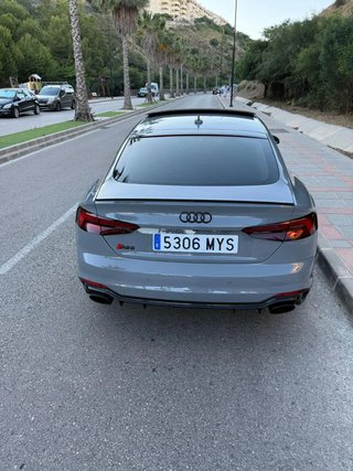 Audi A5 RS5 Sportback TFSI 331kW quattro tiptron