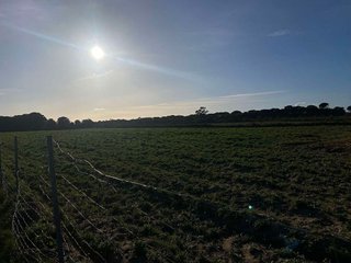 Terreno en venta en Rociana del Condado