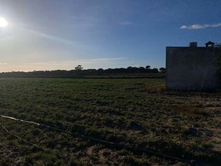 Terreno en venta en Rociana del Condado