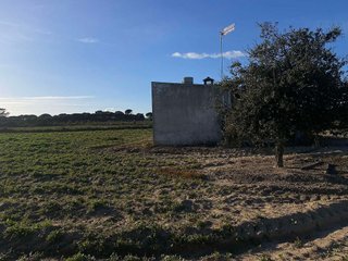 Terreno en venta en Rociana del Condado