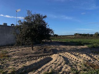 Terreno en venta en Rociana del Condado
