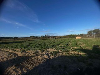 Terreno en venta en Rociana del Condado