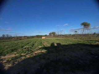 Terreno en venta en Rociana del Condado