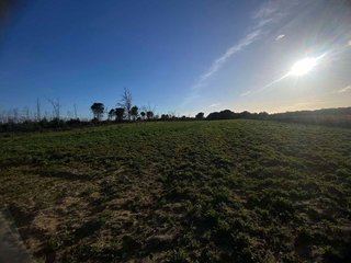 Terreno en venta en Rociana del Condado