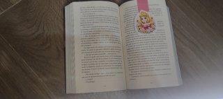 Segnalibri magnetici Disney Principesse