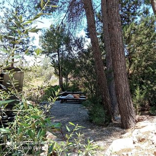 Estudio en alquiler en Sant Joan de Labritja