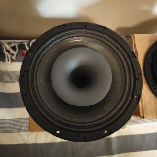 Beyma 8CX300Fe Altavoces (2 unidades)